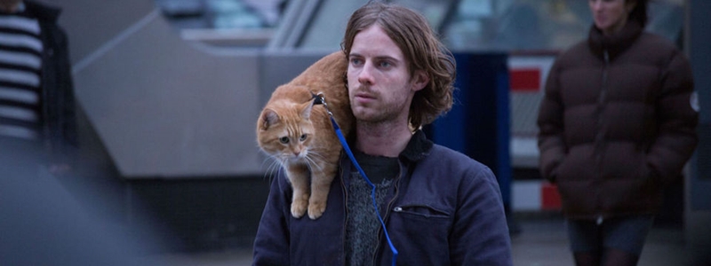 A Street Cat Named Bob – บ๊อบ แมว เพื่อน คน 2016
